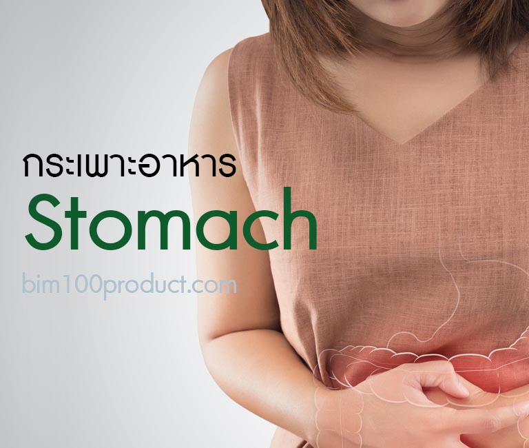 stomach