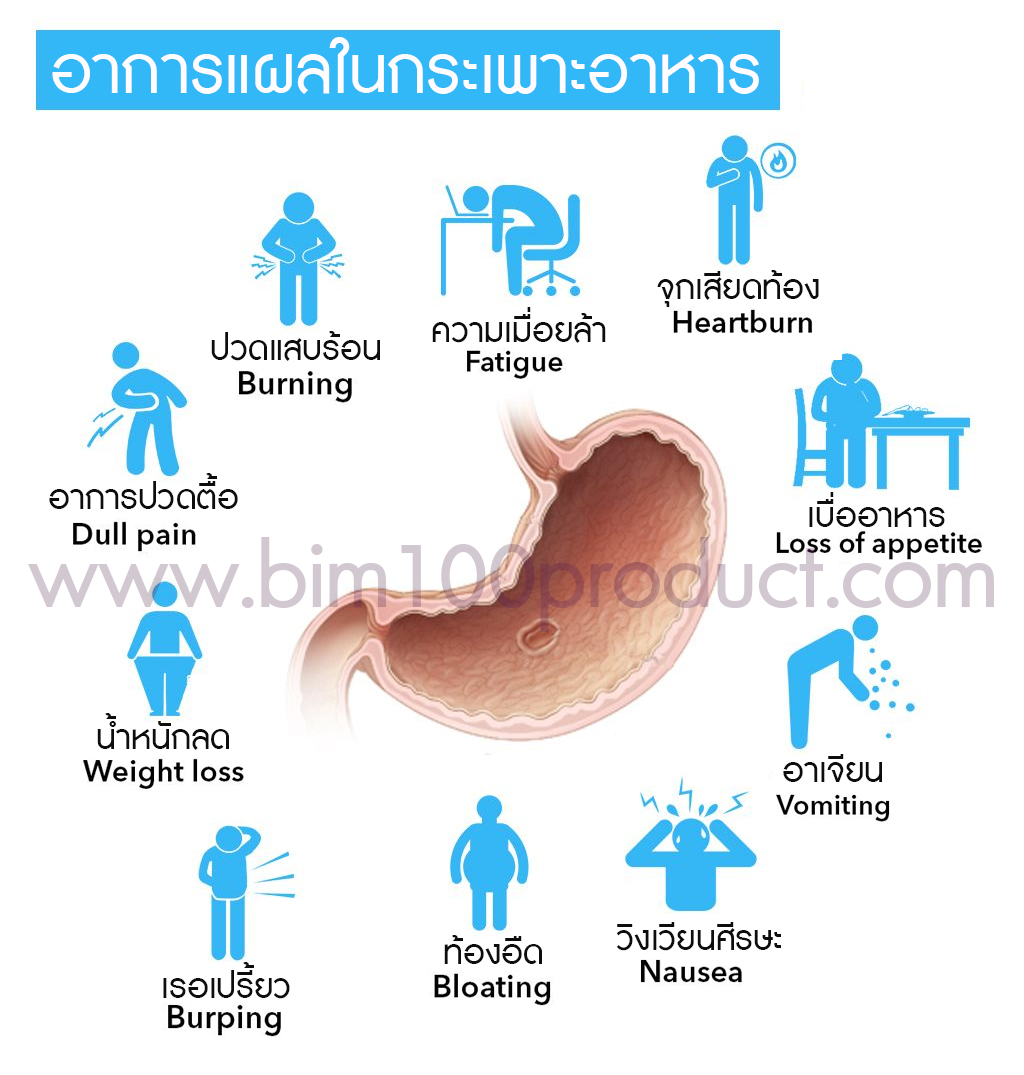 stomash